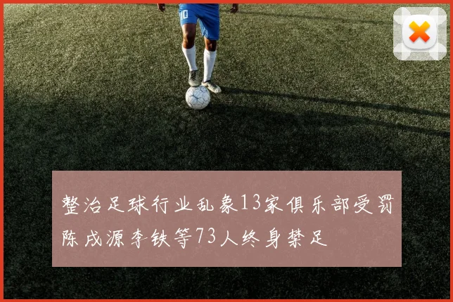 整治足球行业乱象13家俱乐部受罚陈戌源李铁等73人终身禁足